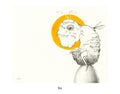 Bide 11x14 Print