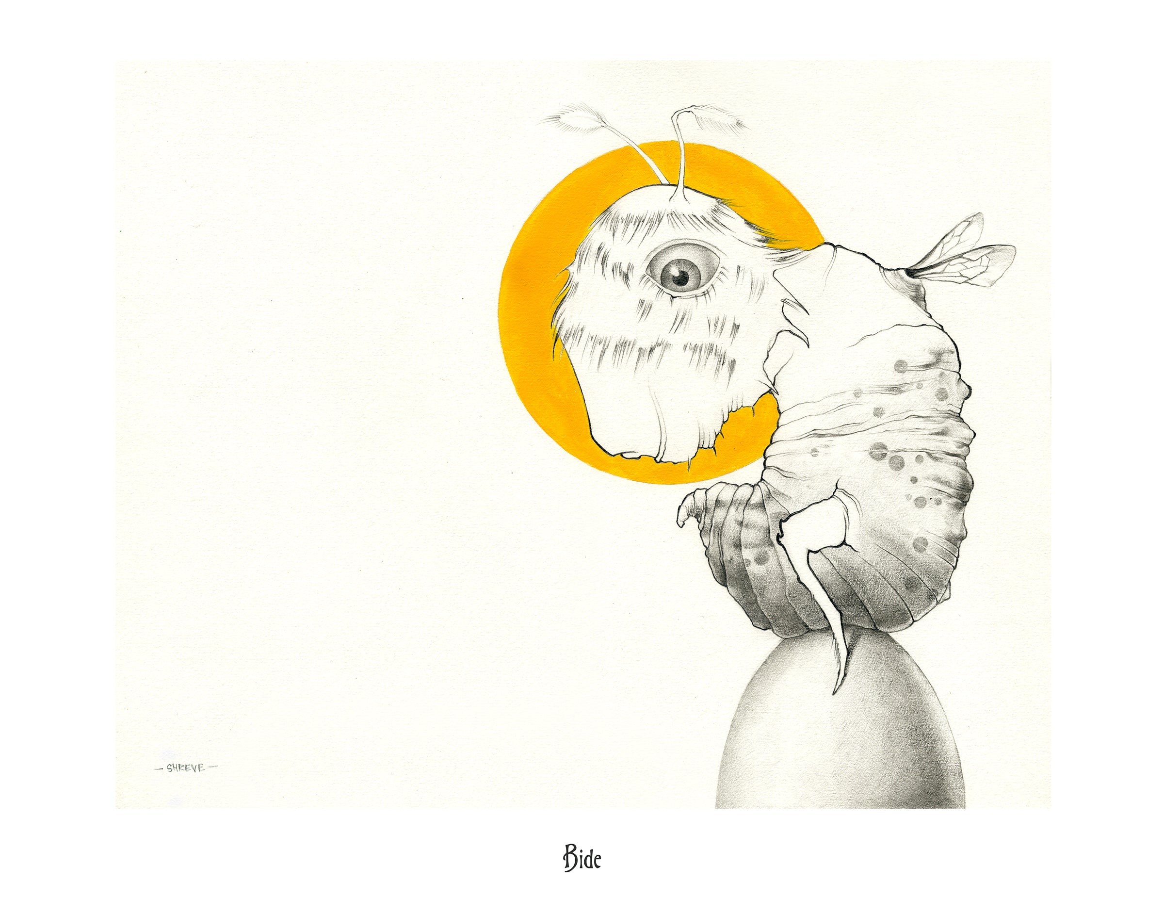Bide 11x14 Print