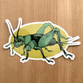 "CRICKET"   6" STICKER