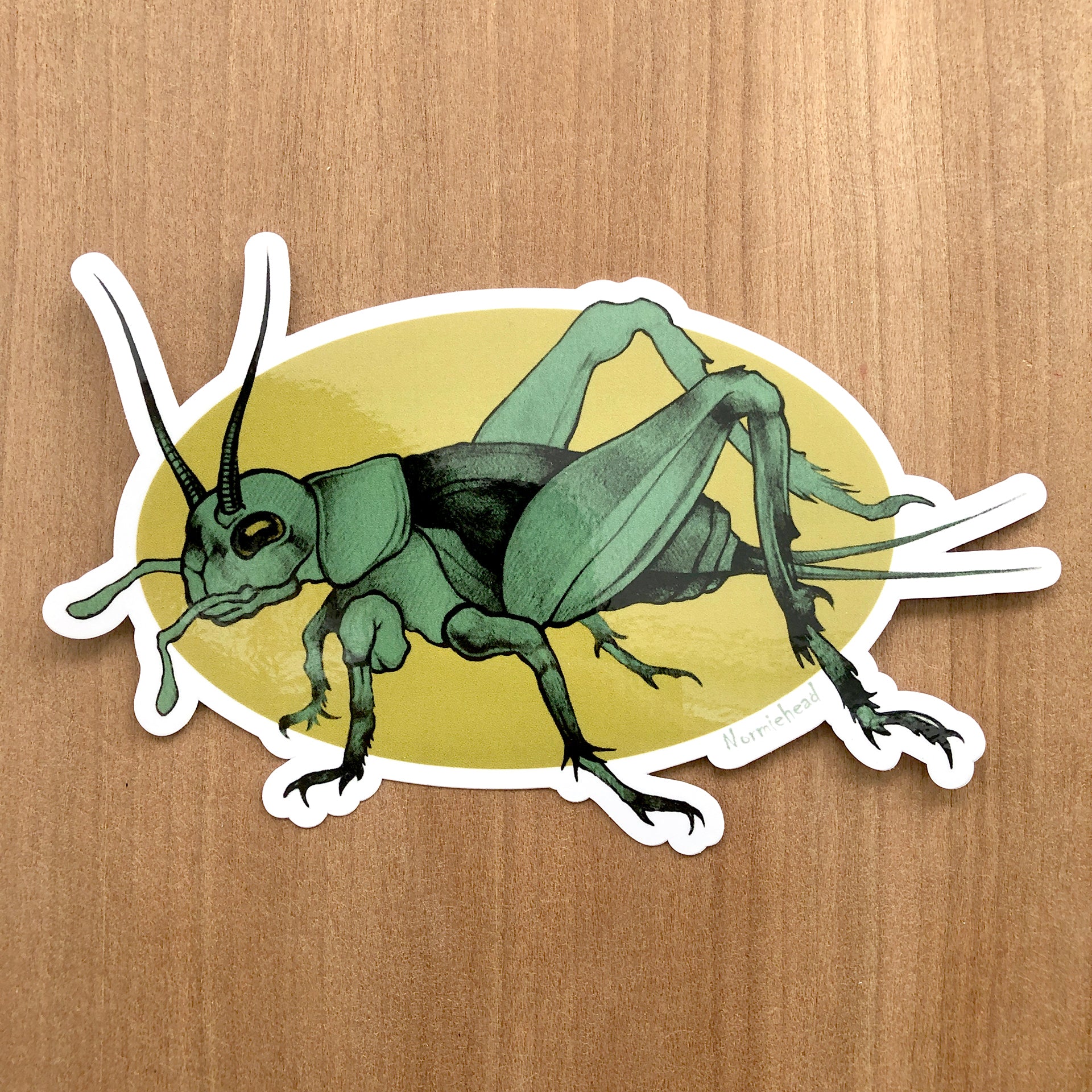 "CRICKET"   6" STICKER
