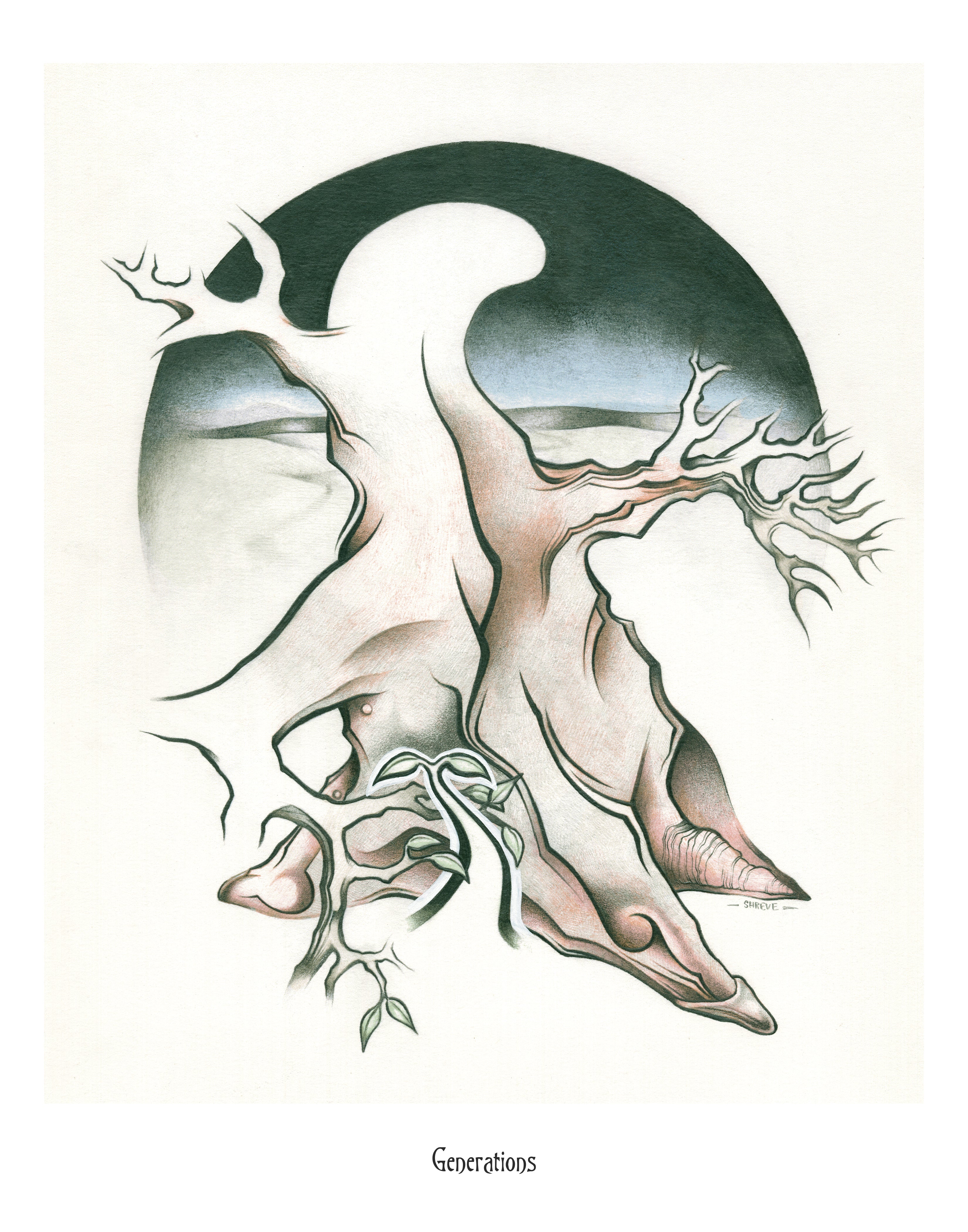 Generations. 11"x14" Print