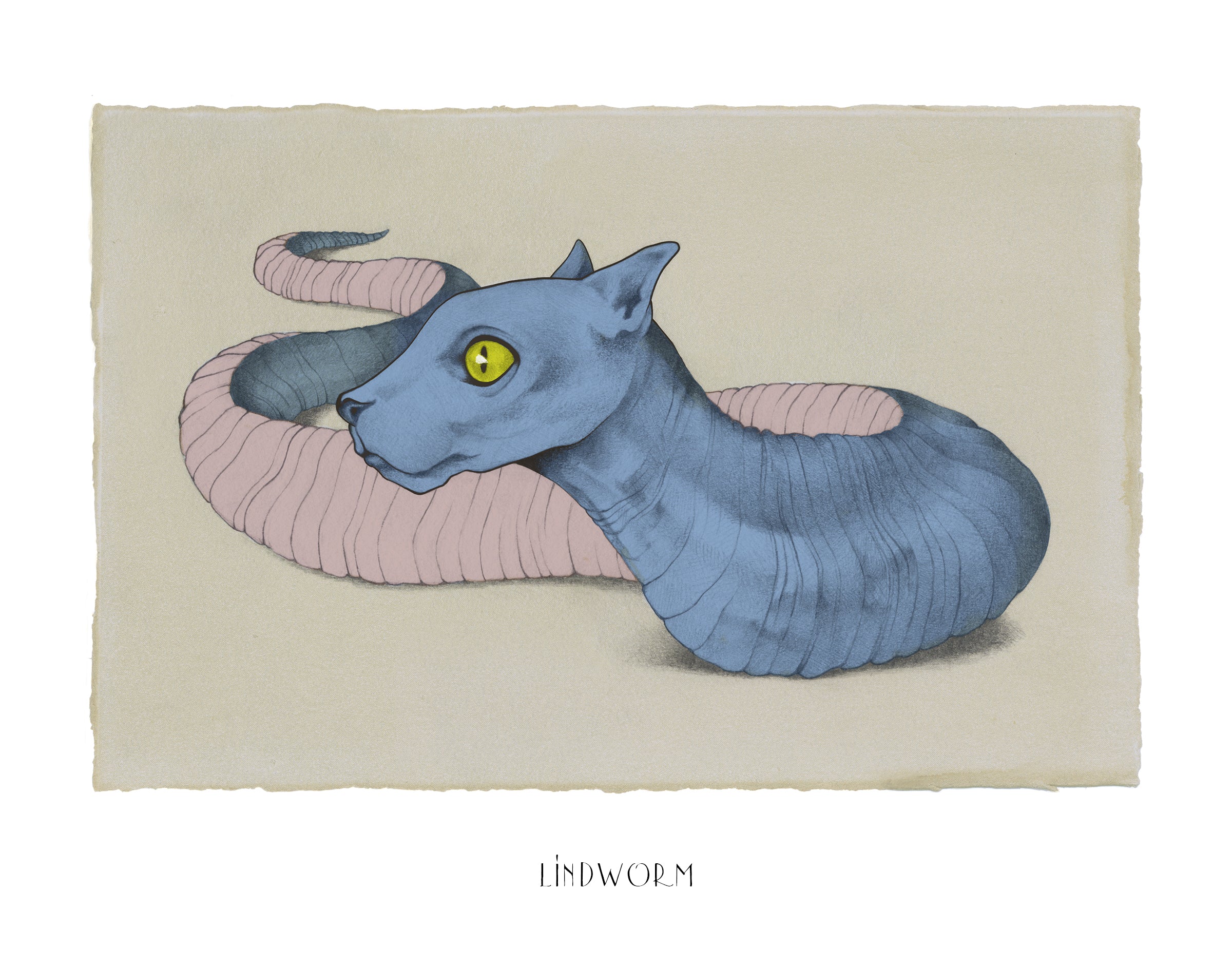 Lindworm 11x14 Print