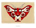Mothman. 11"x14" Print