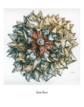 Wooden Bloom. 11x14 Print